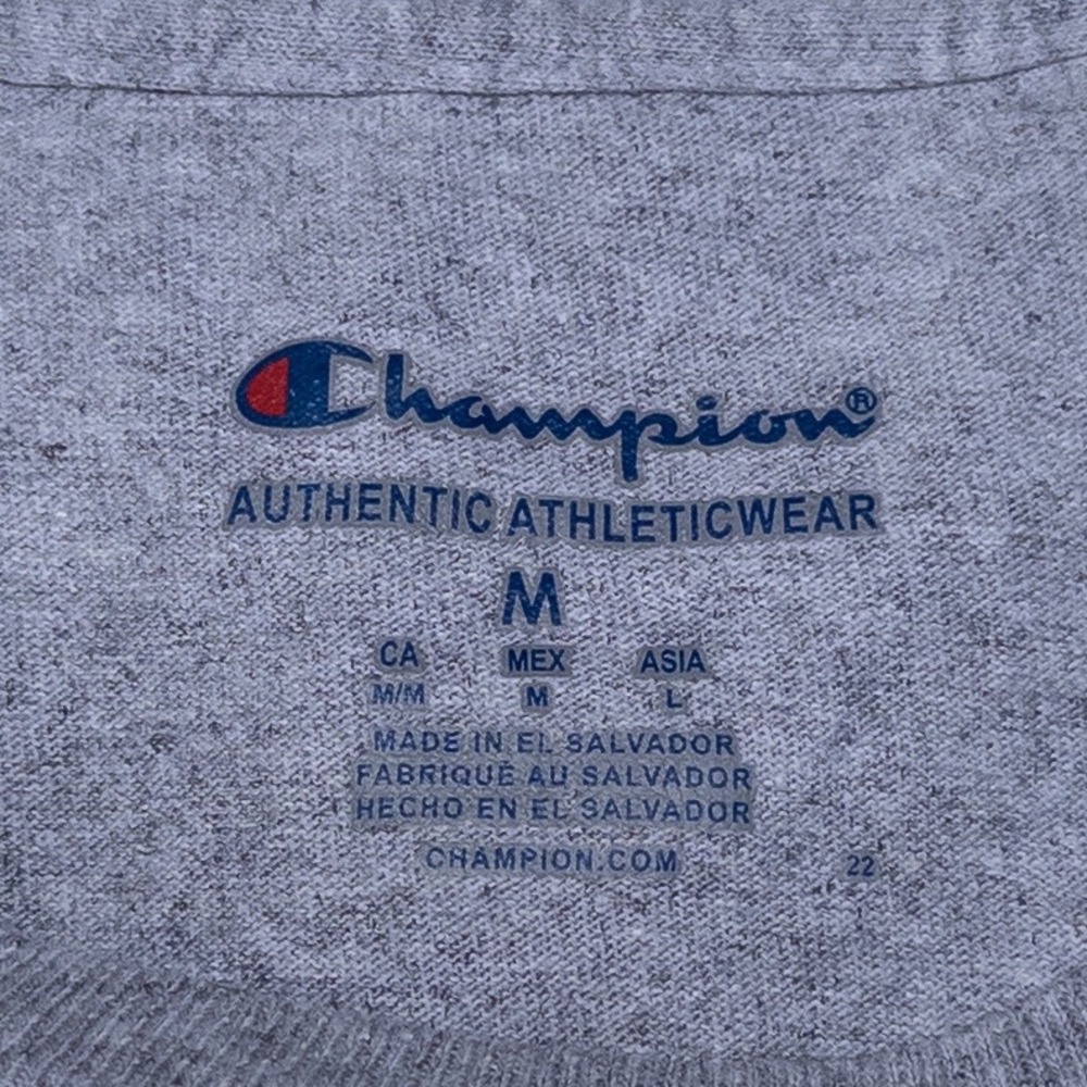 Champion T Shirt Adult M Gray Michigan State University Spartans Graphic Tee - Picture 7 of 9